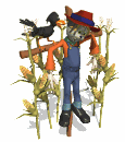 scarecrow_being_pecked_on_md_wht.gif
